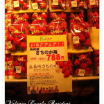 東京日光‧別忘了買草莓