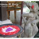 [Bali 2008] 吃過髒鴨餐嗎？