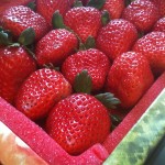 冬天最令人期待的，就是吃草莓。